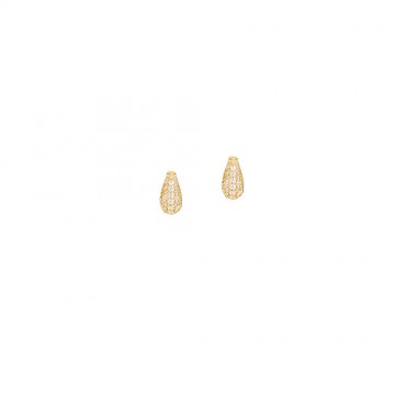 Earrings studded in yellow...