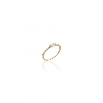 Ring in yellow gold with...